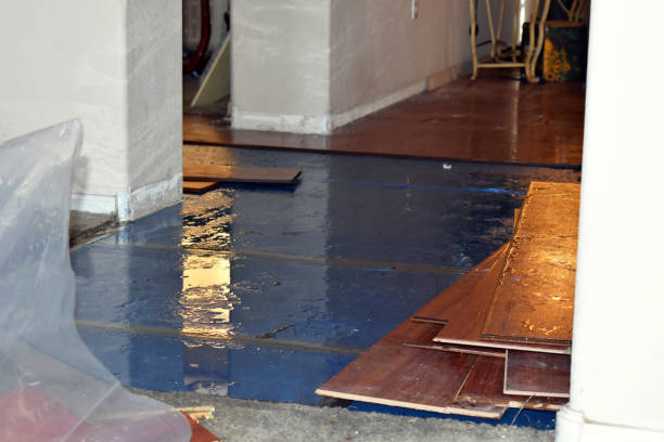 Professional Burst Pipe Cleanup technician working in Vinemont, AL